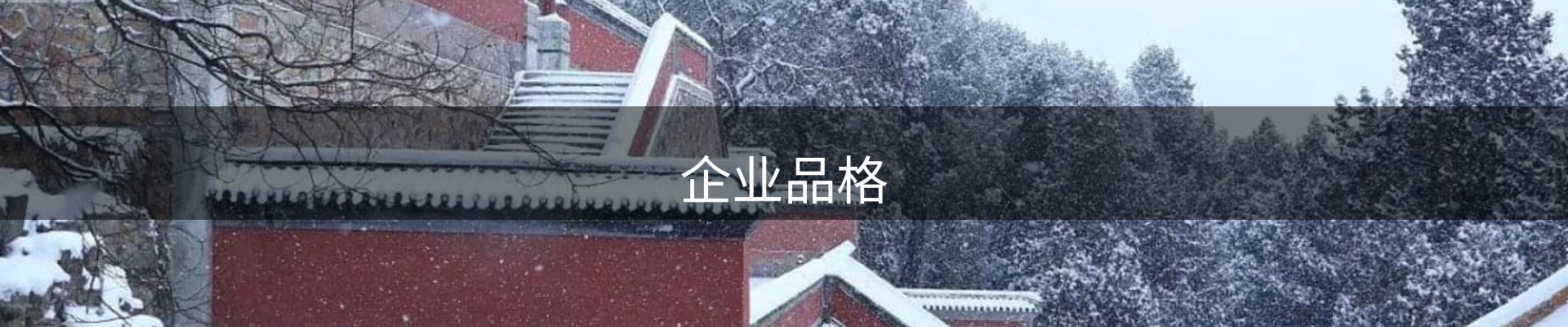 内页banner